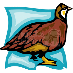 Side profile of a partridge clipart. Royalty-free image # 130549