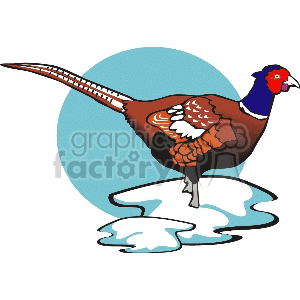clipart - Blue crested pheasant.
