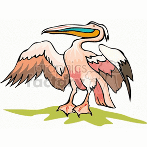 clipart - Peach, white, and brown pelican with outstretch wings.