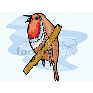 Singing robin perched on a branch animation. Royalty-free animation # 130616