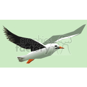 Seagull in flight against a green background clipart. Commercial use image # 130637