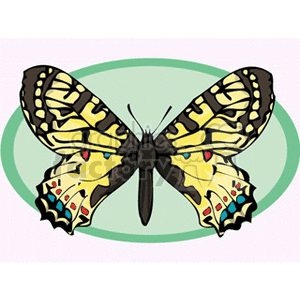 yellow and black winged butterfly in a green circle