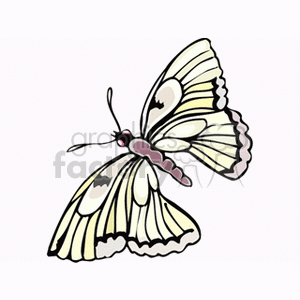 butterfly with white and yellow wings clip art animation. Commercial use animation # 130761