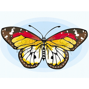brown black red and gold butterfly  clipart. Commercial use image # 130763
