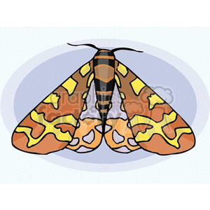 brownd yellow and orange winged butterfly on purple background clipart. Royalty-free image # 130765