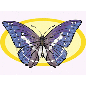 blue and gray butterfly in yellow background