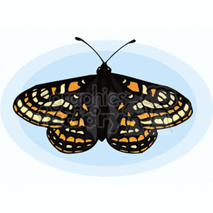 colorful butterfly with a blue background clipart. Royalty-free image # 130777