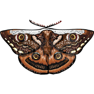 white and brown with yellow circle winged butterfly clipart. Royalty-free image # 130785