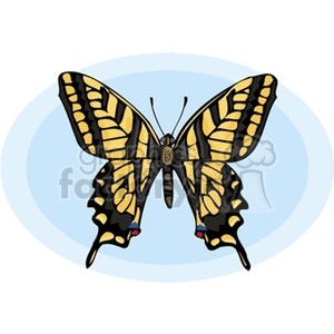 butterfly with black and yellow wings clip art clipart. Commercial use image # 130787