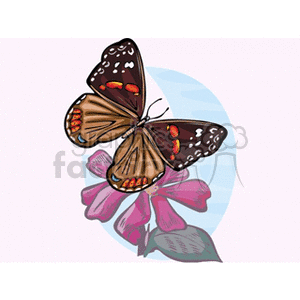 butterfly and on a pink flower clip art clipart. Royalty-free image # 130797