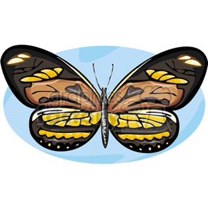   butterfly butterflies insect insects  butterfly44.gif Clip Art Animals Butterflies 