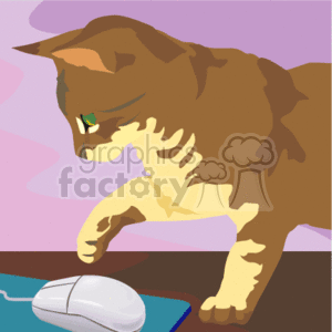 Brown cat playing with computer mouse
