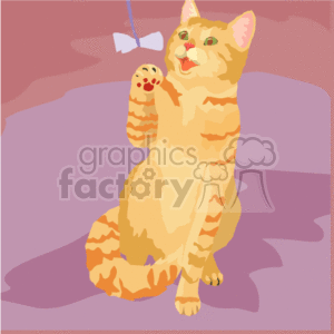 Orange tabby cat playing with bow