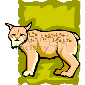   animals cat cats feline felines lynx  13_lynx.gif Clip Art Animals Cats 
