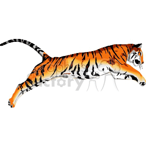 clipart - Tiger leaping through air.