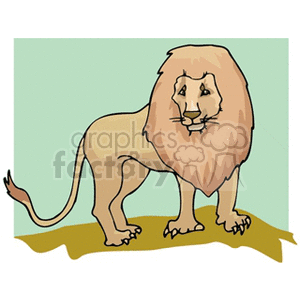 Male lion with a thick mane standing on the dirt clipart.
