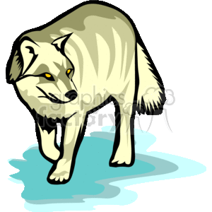 0011_wolf clipart. Royalty-free image # 131578