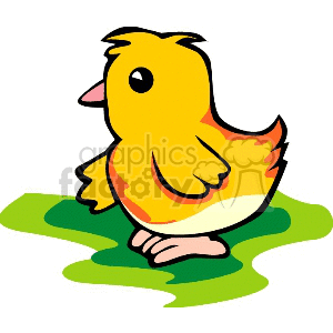 Cute baby chick on grass clipart.