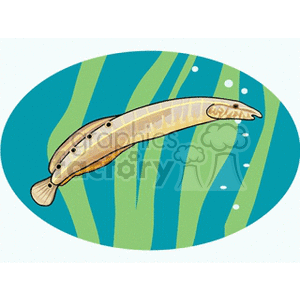   fish animals eel  aquariumfish5.gif Clip Art Animals Fish 