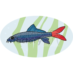aquariumfish9 clipart. Royalty-free image # 132276