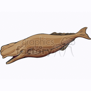   fish animals whale whales  cachalot8.gif Clip Art Animals Fish 