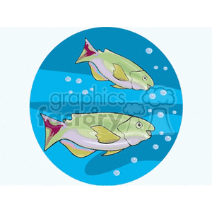 fish underwater clipart. Royalty-free image # 132527