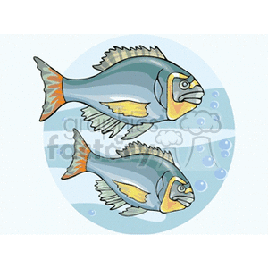 fish64 clipart. Commercial use image # 132574