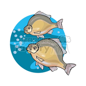 fish97