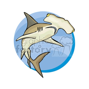 shark underwater clipart. Royalty-free image # 132626
