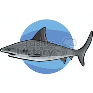   fish animals shark sharks  hawk.gif Clip Art Animals Fish 