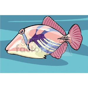 pinkfish clipart. Royalty-free image # 132667