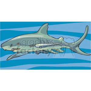 shark2 clipart. Commercial use image # 132696