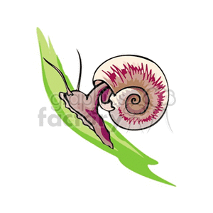 snail clipart. Commercial use image # 132705