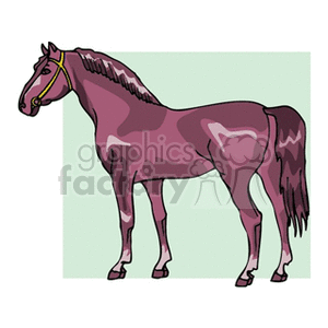 horse5 clipart. Royalty-free image # 132796