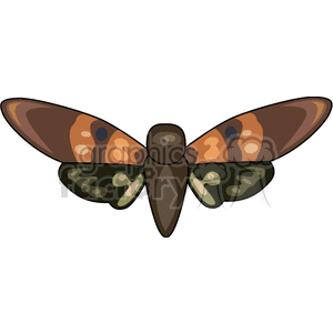 huge moth clipart. Royalty-free image # 132896