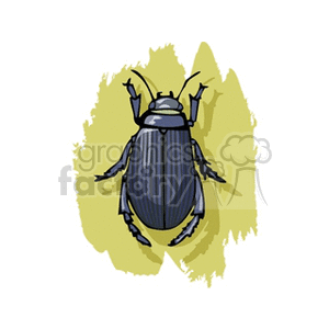   insect insects bug bugs beetle beetles  bug25.gif Clip Art Animals Insects 