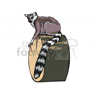 Lemur clipart. Commercial use image # 133223