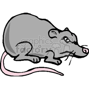 fat cartoon rat clipart. Royalty-free image # 133421