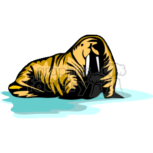clipart - Large walrus.