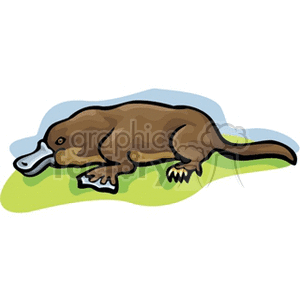 platypus laying in grass clipart. Commercial use image # 133709