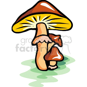 mushroom0001 clipart. Royalty-free image # 136814