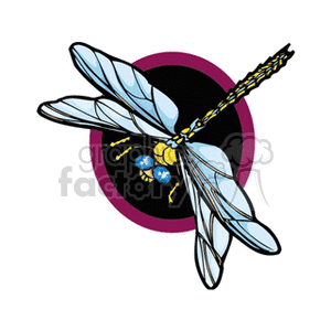   jewelry gold pin pins dragonfly dragonflies  gold20121.gif Clip Art Clothing Jewelry 