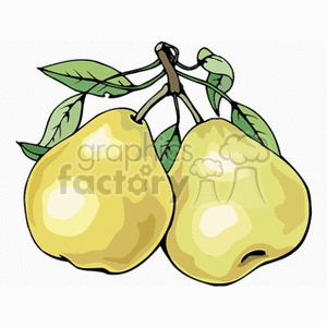 apples2 clipart. Royalty-free image # 141894