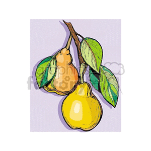 Pears hanging in a tree clipart. Royalty-free image # 141967