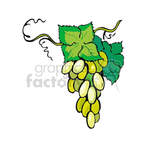   fruit food grapes grape  uva3.gif Clip Art Food-Drink Fruit 