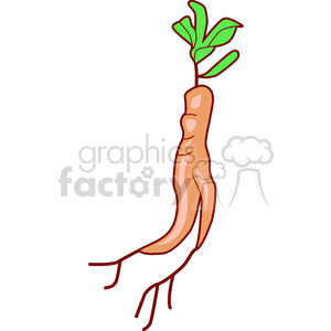 Ginseng clipart. Commercial use image # 142309