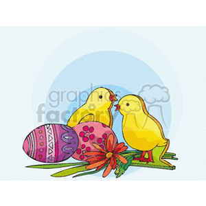 Baby chicks with Easter eggs and flowers clipart.