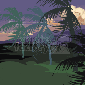   weather tropical palm tree trees vacation dusk travel night  wind_clouds_palmtrees001.gif Clip Art Nature 