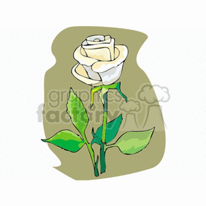 rose2 clipart. Royalty-free image # 151249