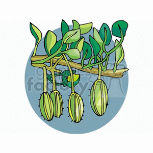 Buds on a tree branch clipart. Commercial use image # 151265